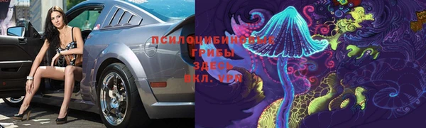 прущая мука Пролетарск