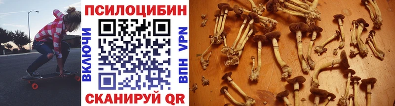 цена   Олонец  Галлюциногенные грибы мухоморы 
